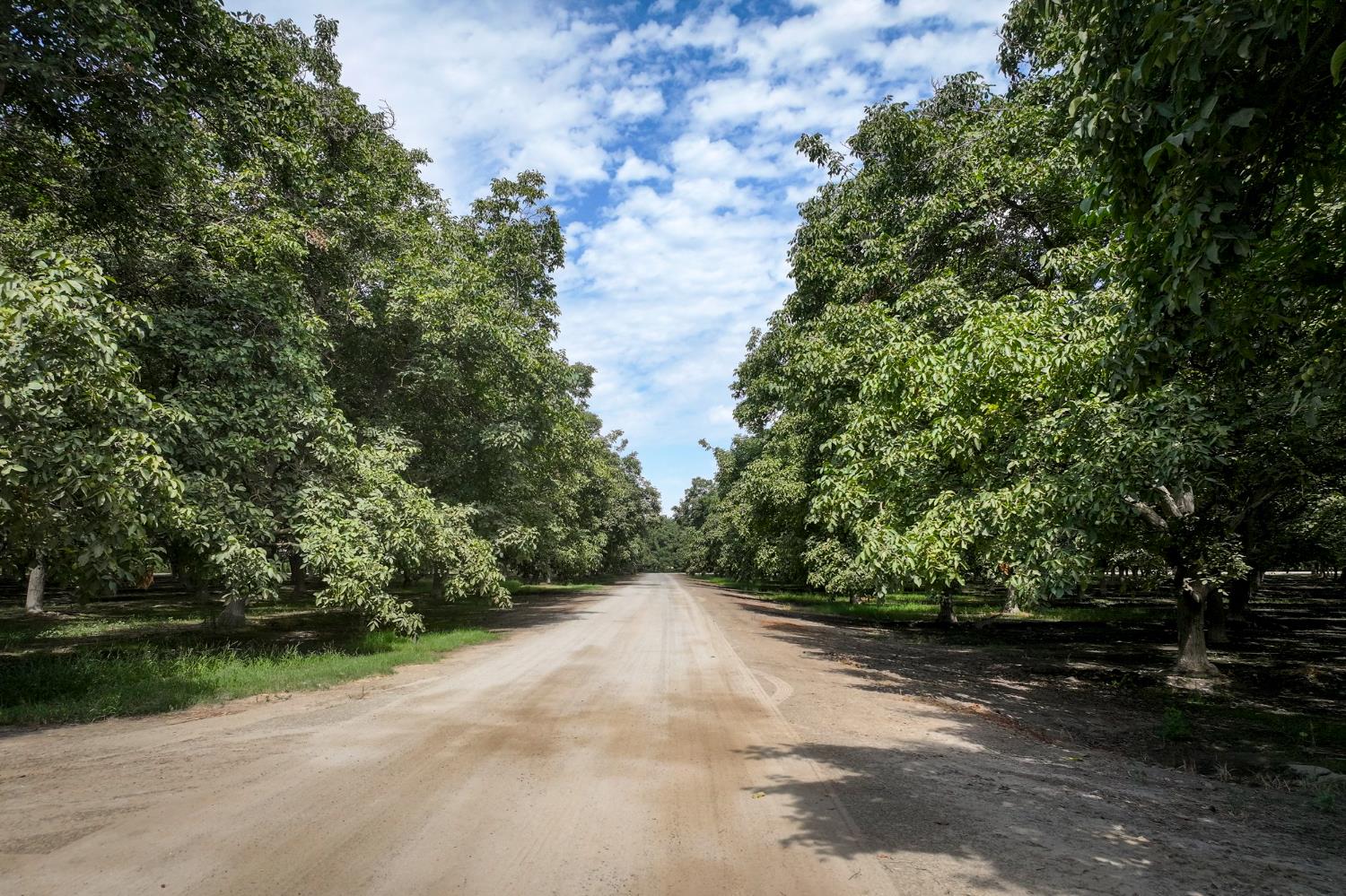 3948 13 1/4 Ave, Hanford, CA 93230