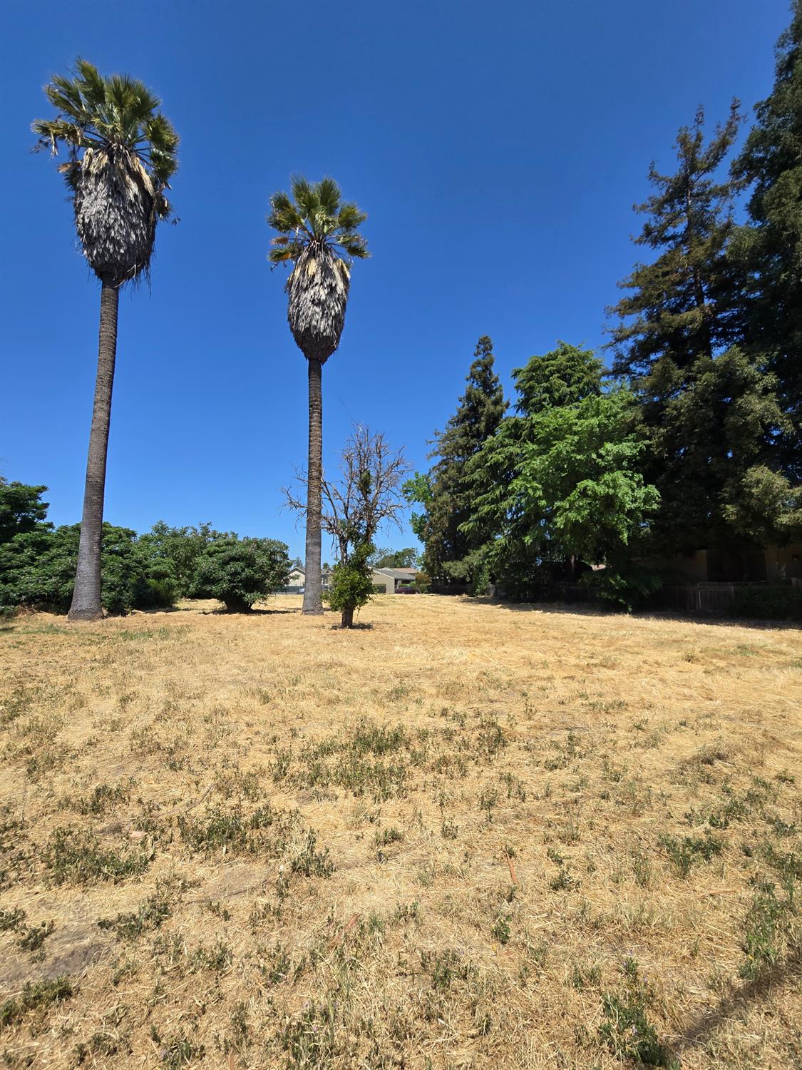 951 E Main St, Turlock, CA 95380