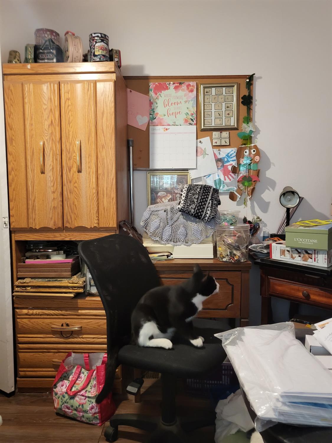 306 Fransil Ln, Turlock, CA 95380