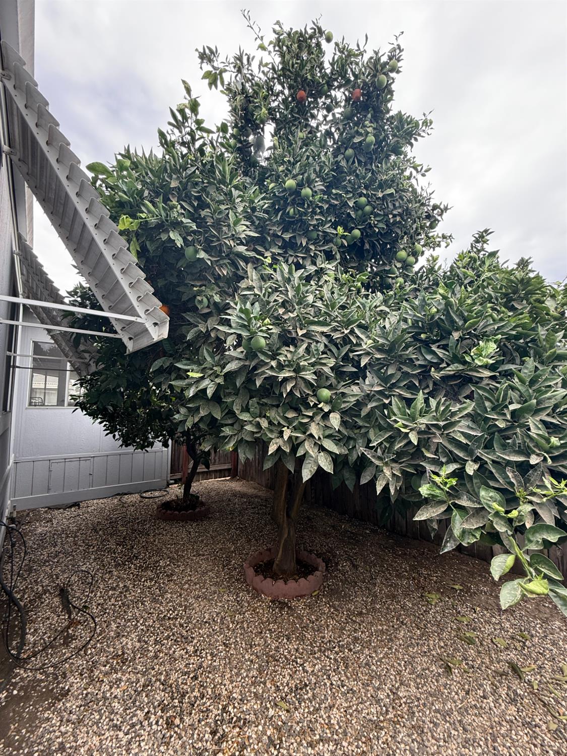 19960 American Ave #35, Hilmar, CA 95324