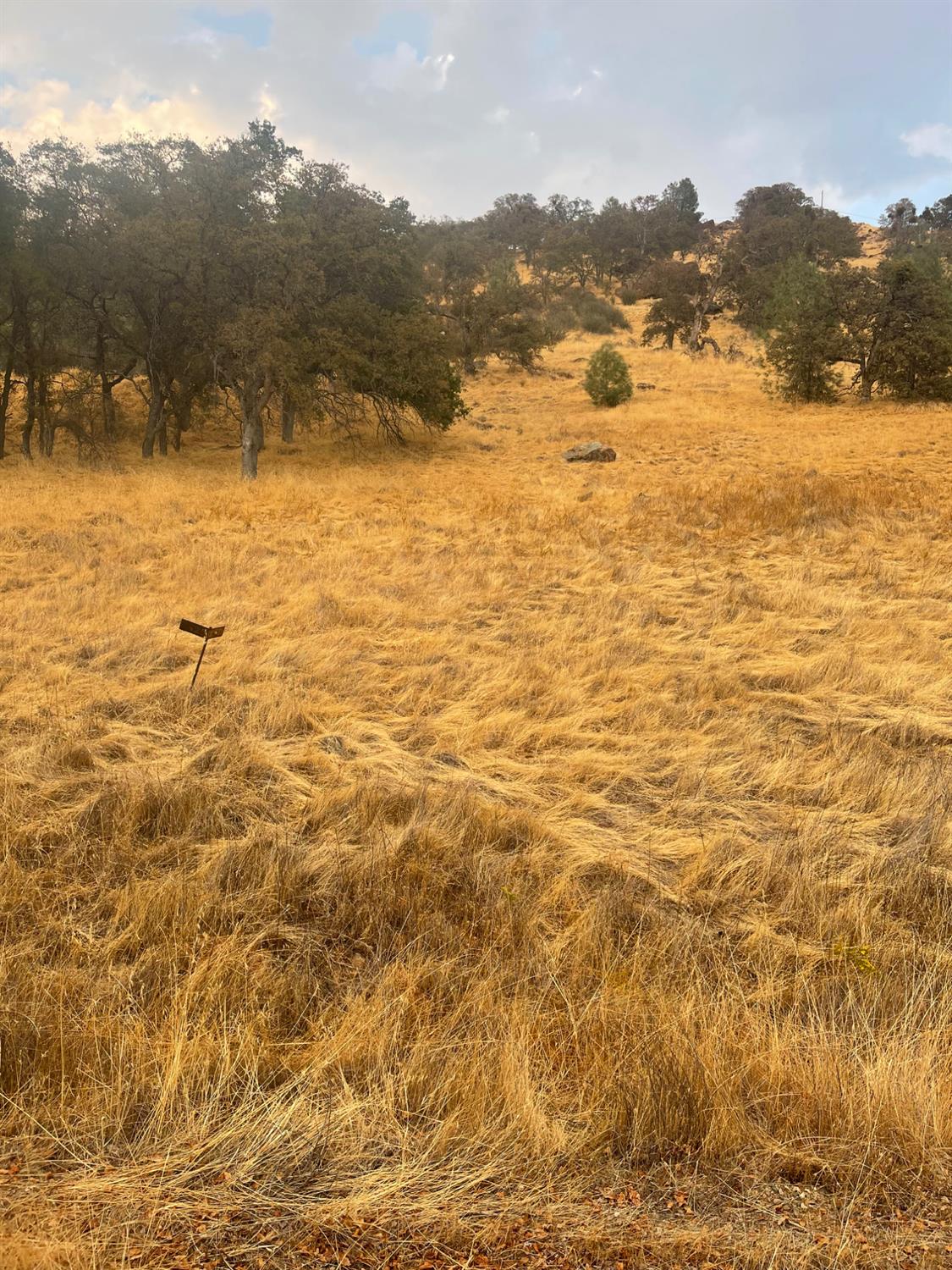 0 Castillo Way, La Grange, CA 95329