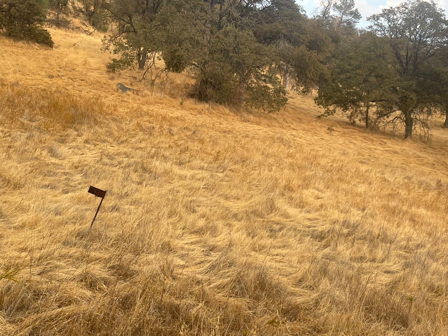 0 Castillo Way, La Grange, CA 95329