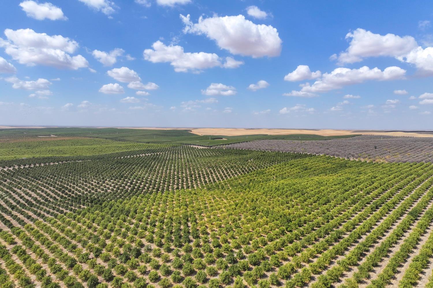 0 Avenue 2, Ducor, CA 93218