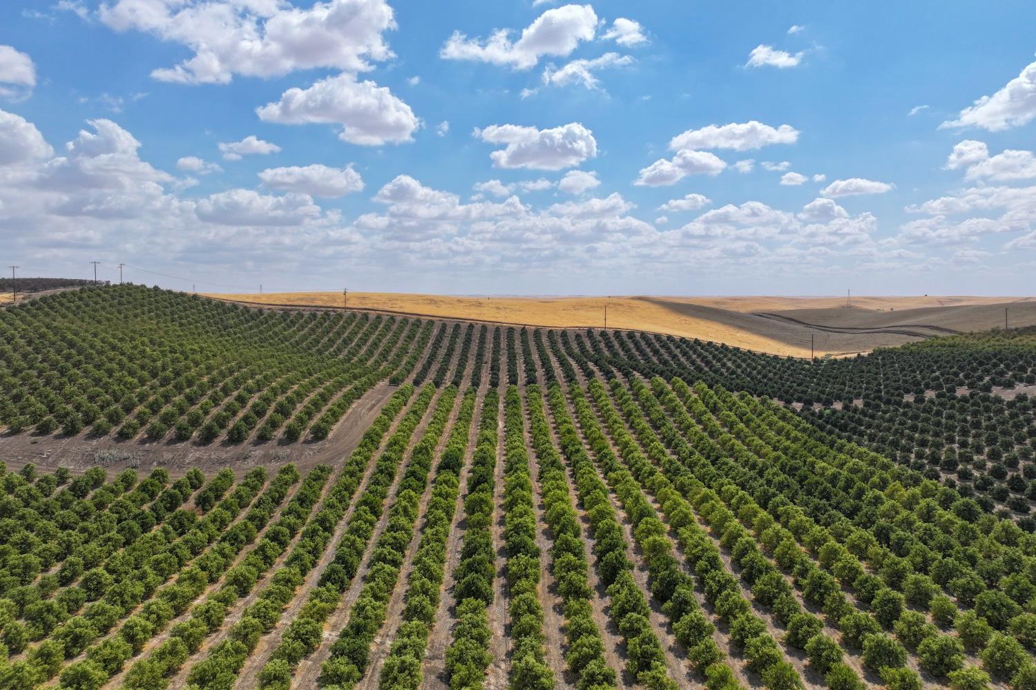 0 Avenue 2, Ducor, CA 93218