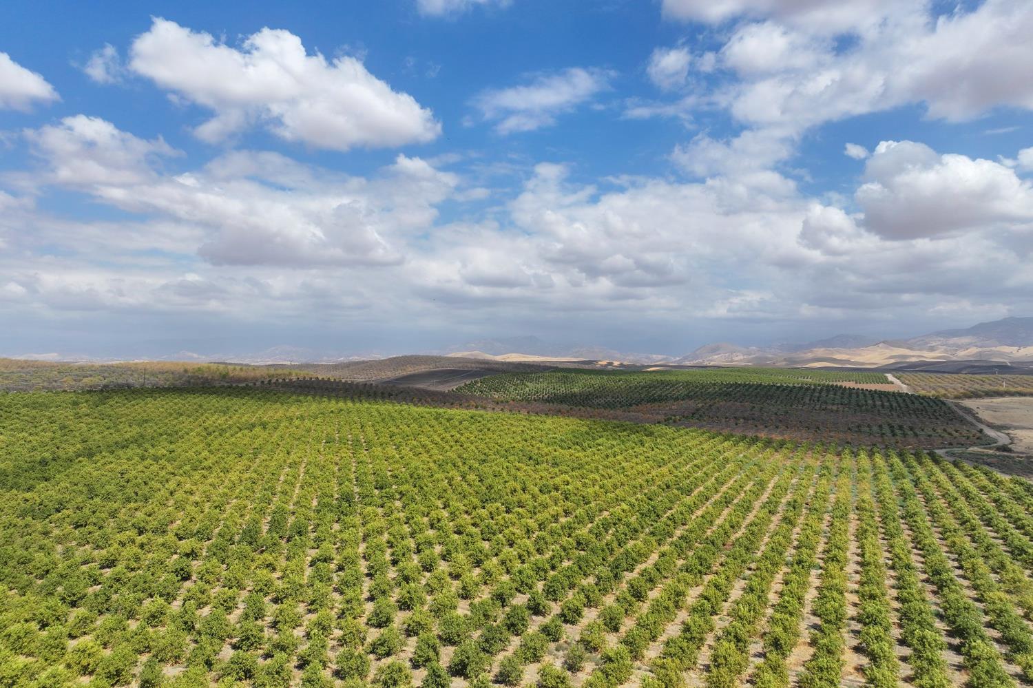 0 Avenue 2, Ducor, CA 93218