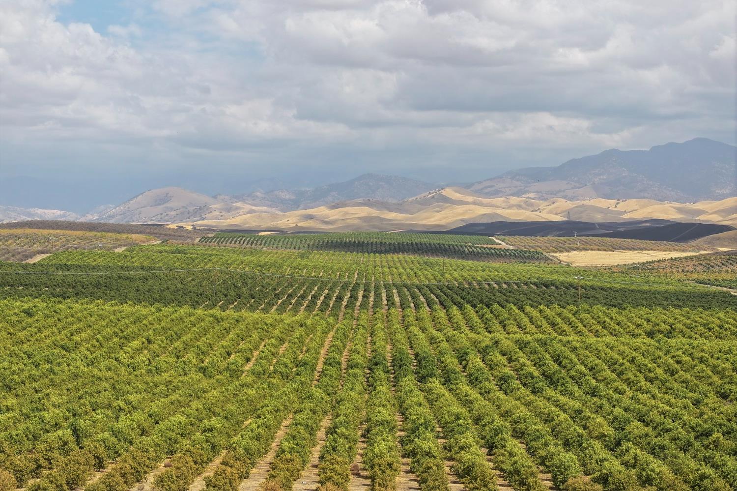 0 Avenue 2, Ducor, CA 93218