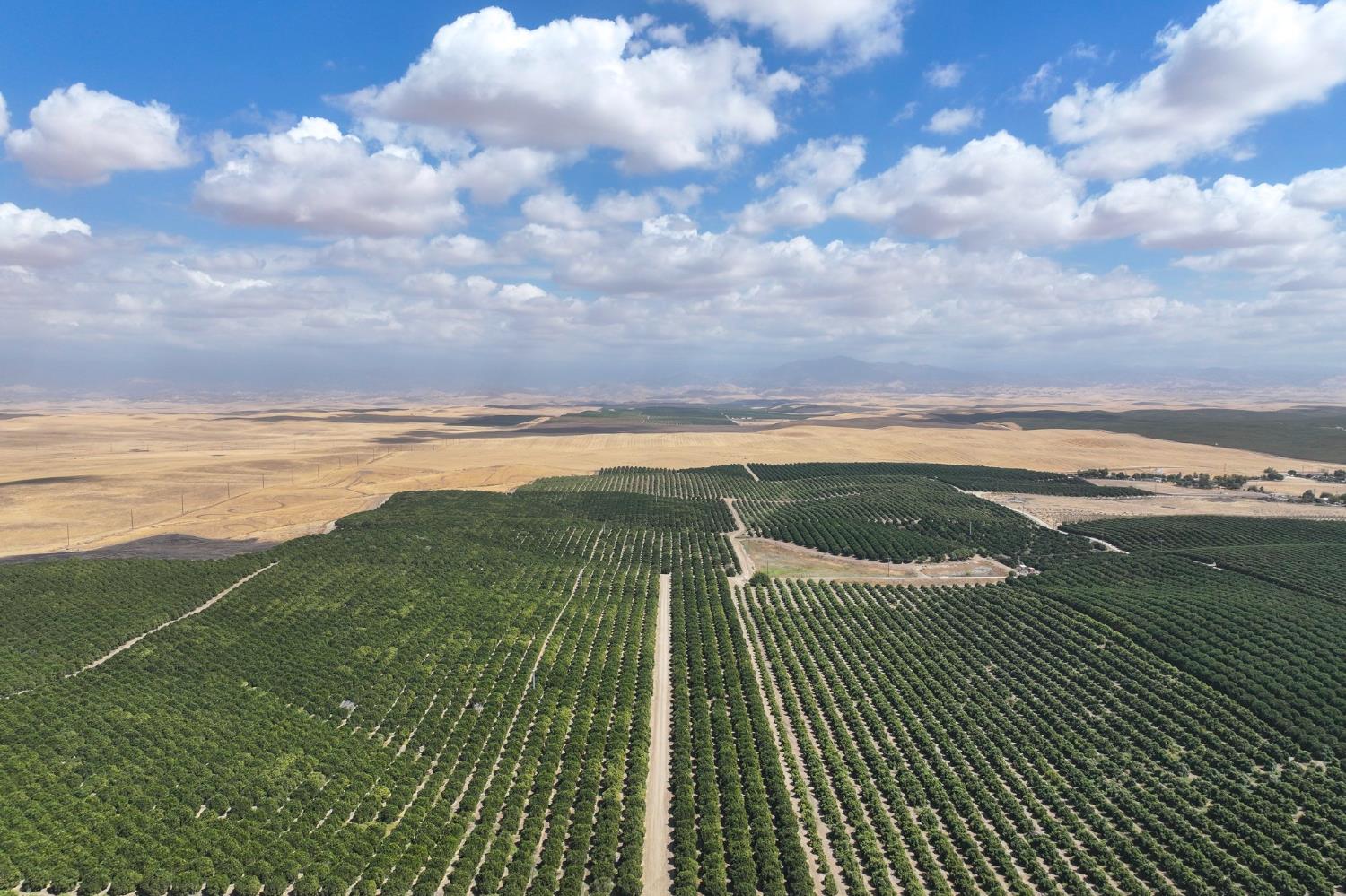 0 Ave. 2, Richgrove, CA 93261