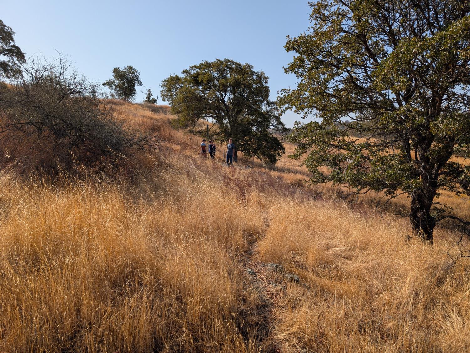 0 0 Soledad Way N, La Grange, CA 95329