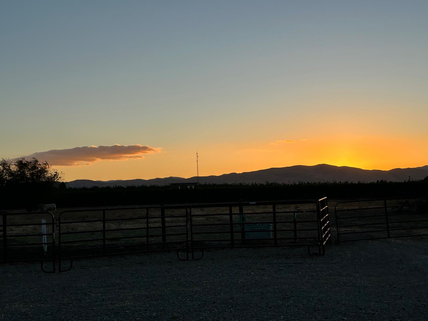 16221 Gustafson Ave, Patterson, CA 95363