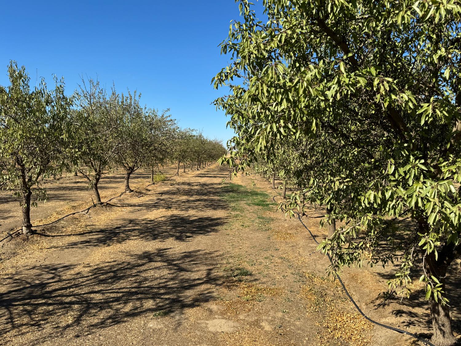 5306 White Rock Rd, Le Grand, CA 95333