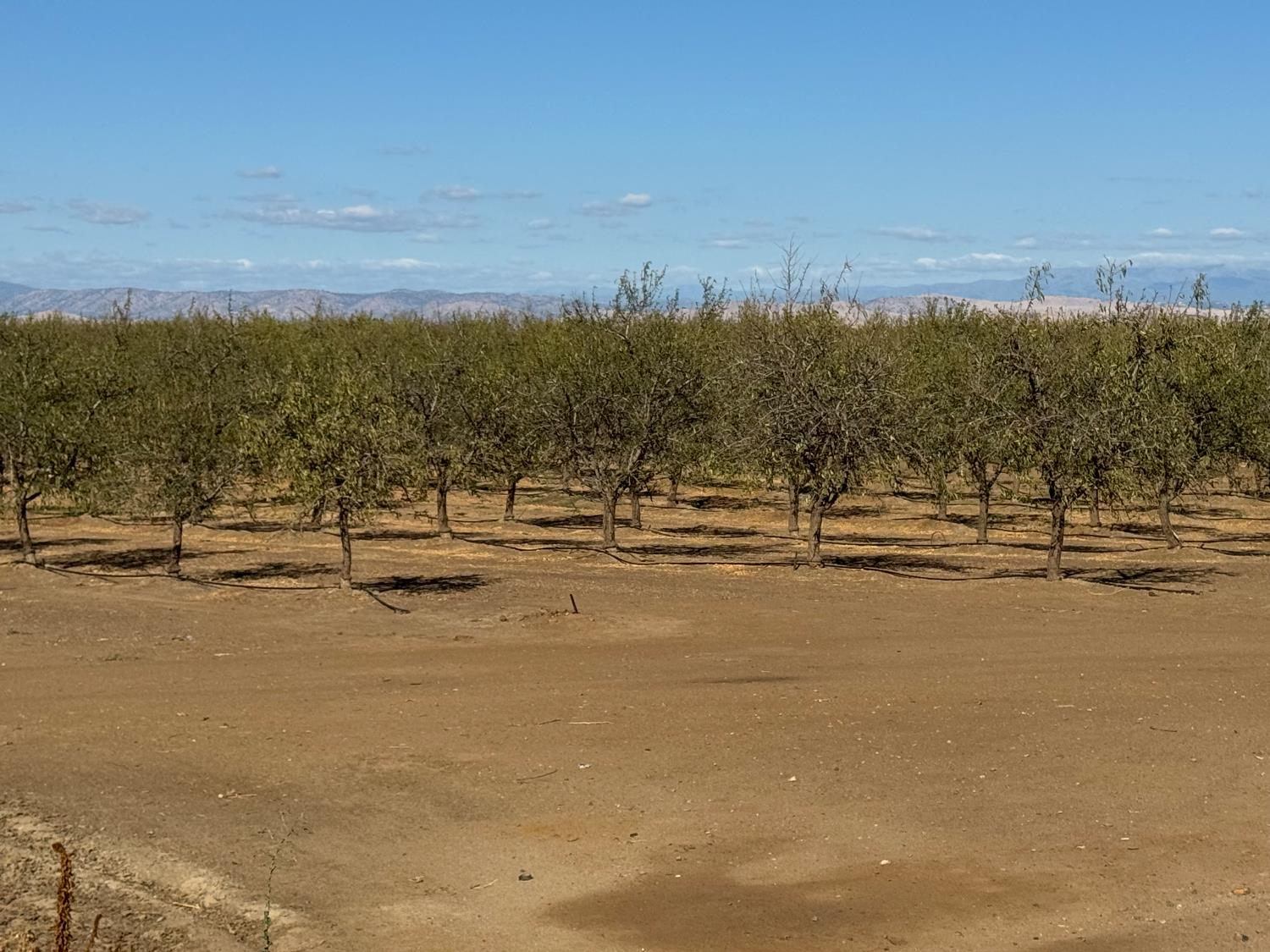 5306 White Rock Rd, Le Grand, CA 95333