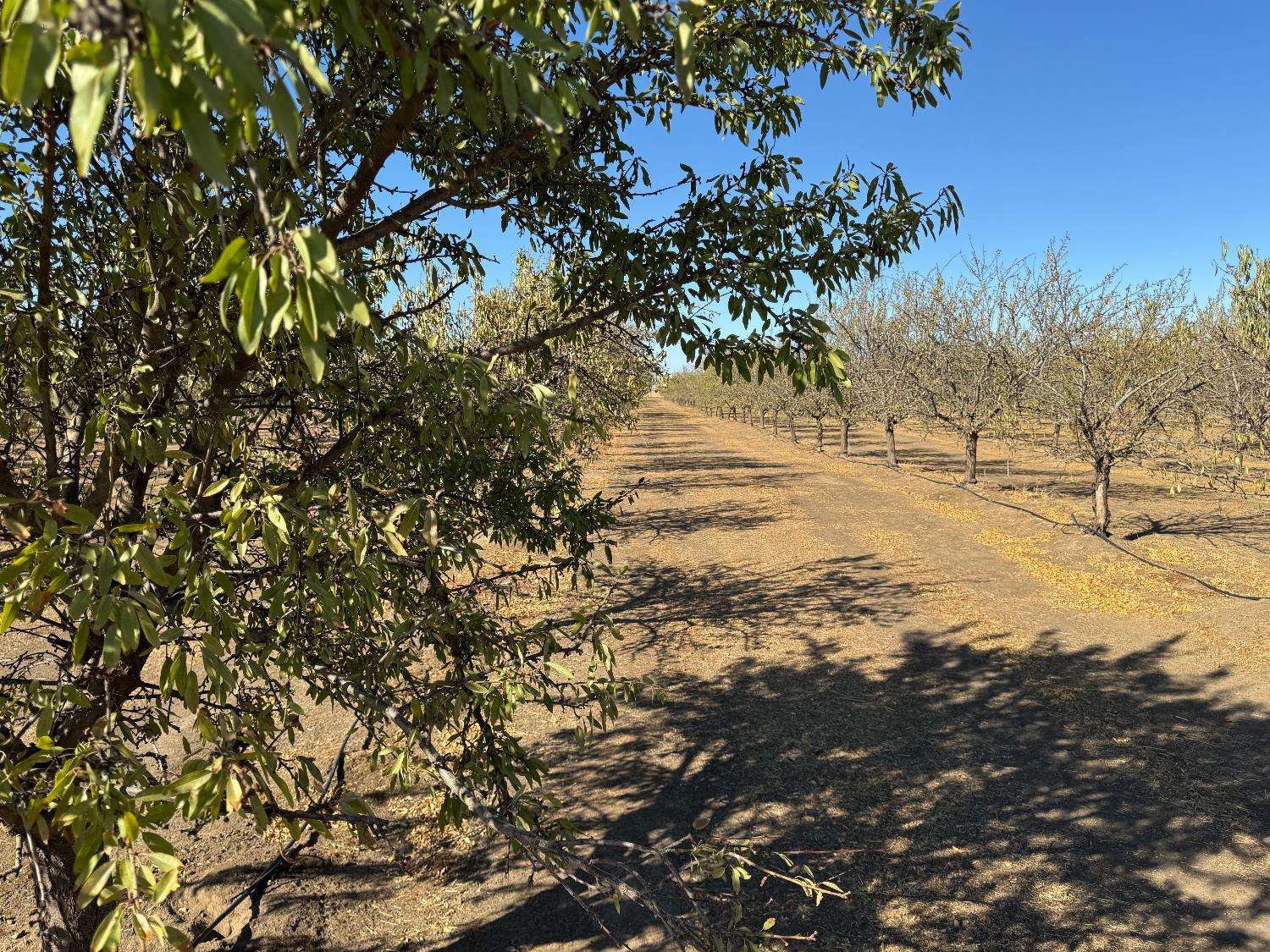 5306 White Rock Rd, Le Grand, CA 95333