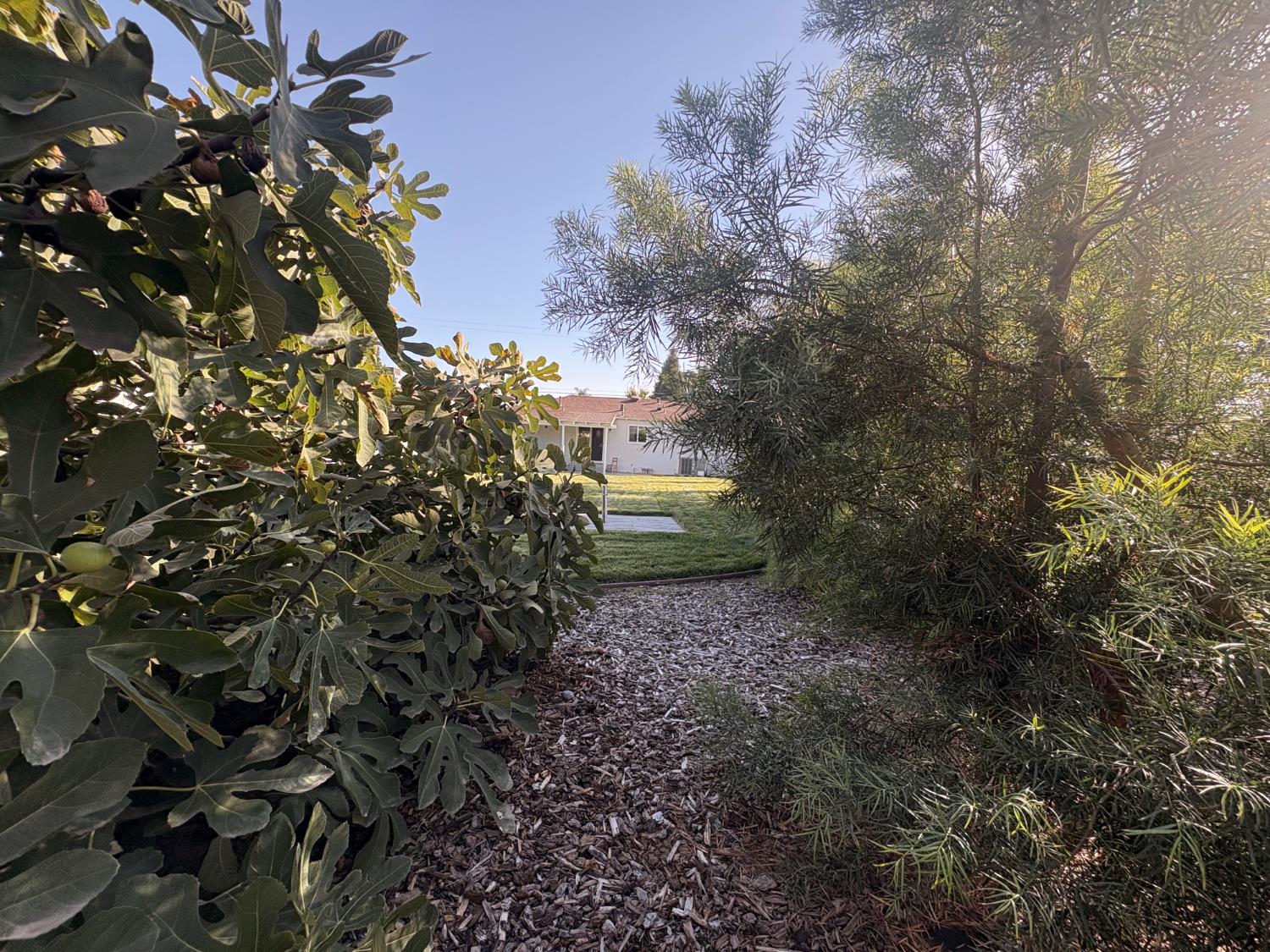 133 E Syracuse Ave, Turlock, CA 95380