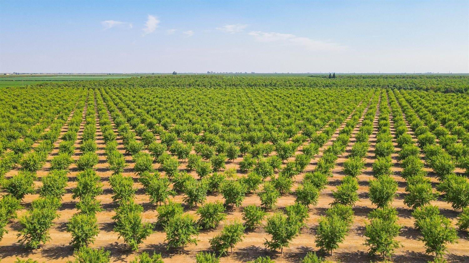 10391 Gillette Rd, Le Grand, CA 95333