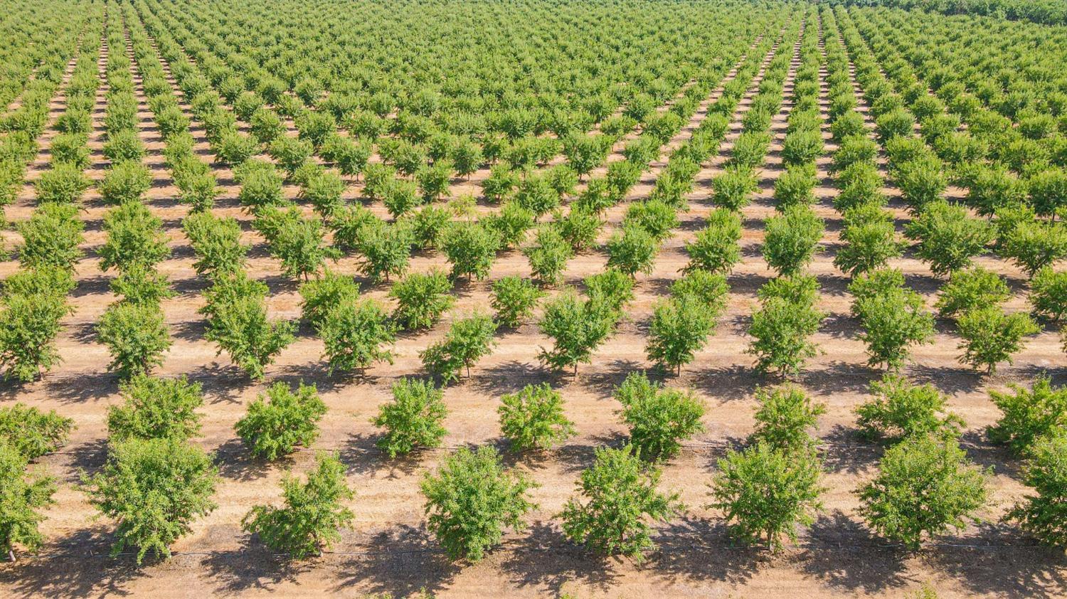 10391 Gillette Rd, Le Grand, CA 95333