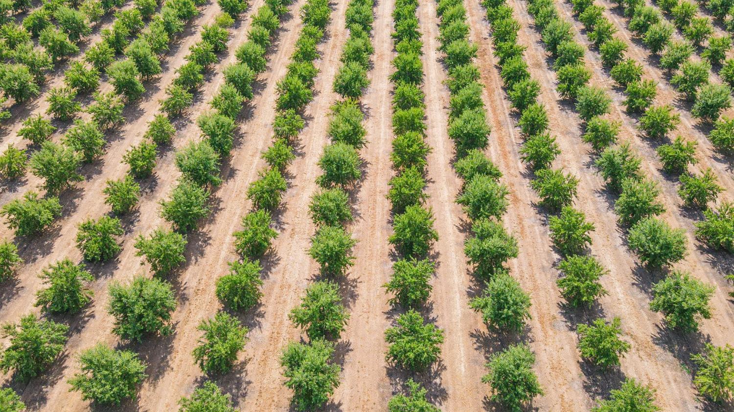 10391 Gillette Rd, Le Grand, CA 95333