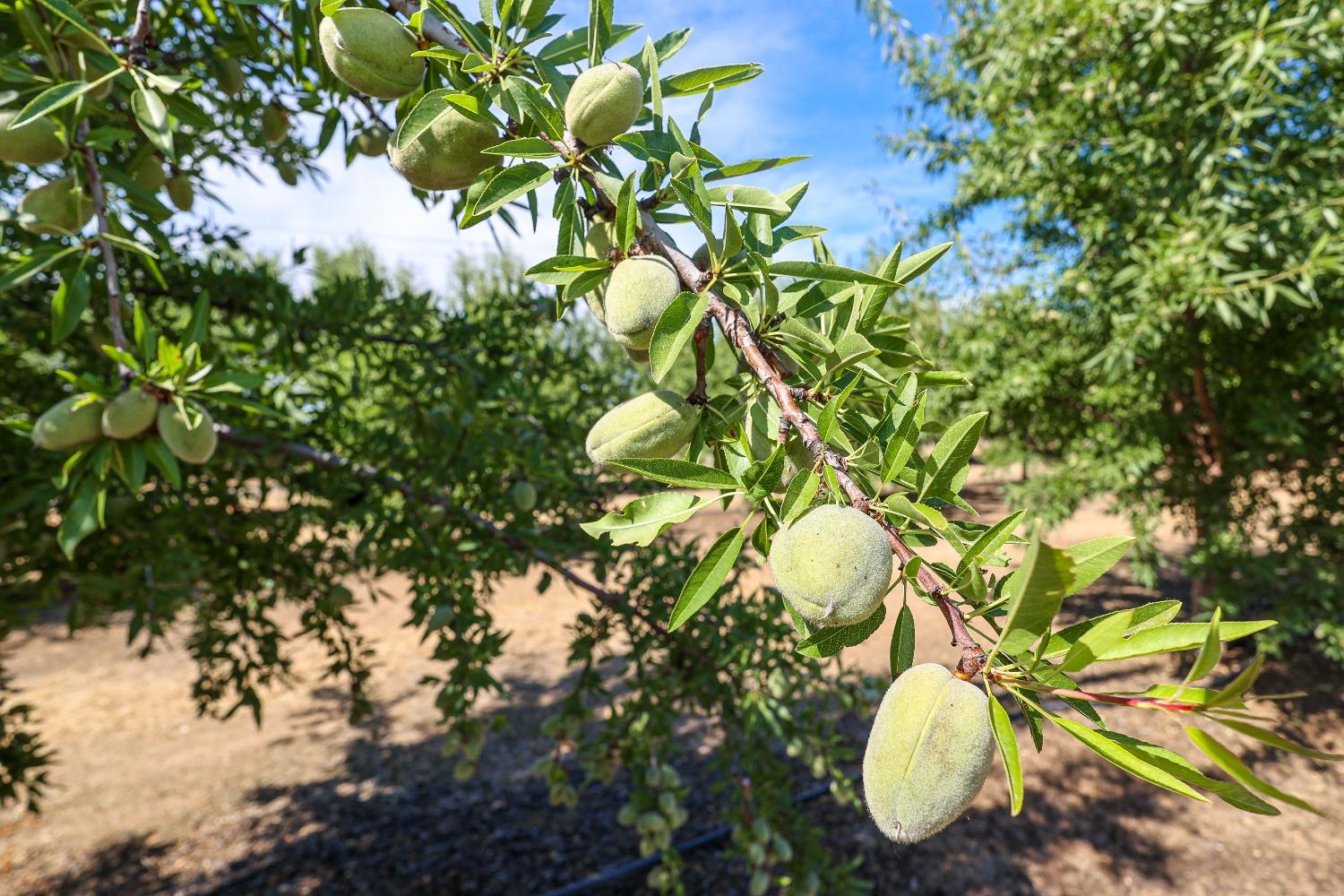 10391 Gillette Rd, Le Grand, CA 95333