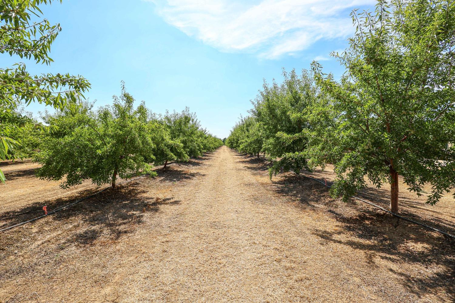 10391 Gillette Rd, Le Grand, CA 95333