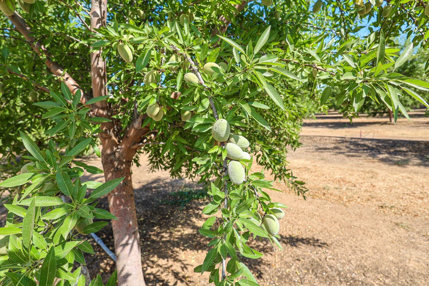 10391 Gillette Rd, Le Grand, CA 95333