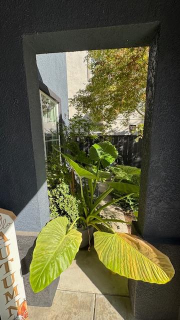 4205 Moon Rose Ct, Turlock, CA 95382