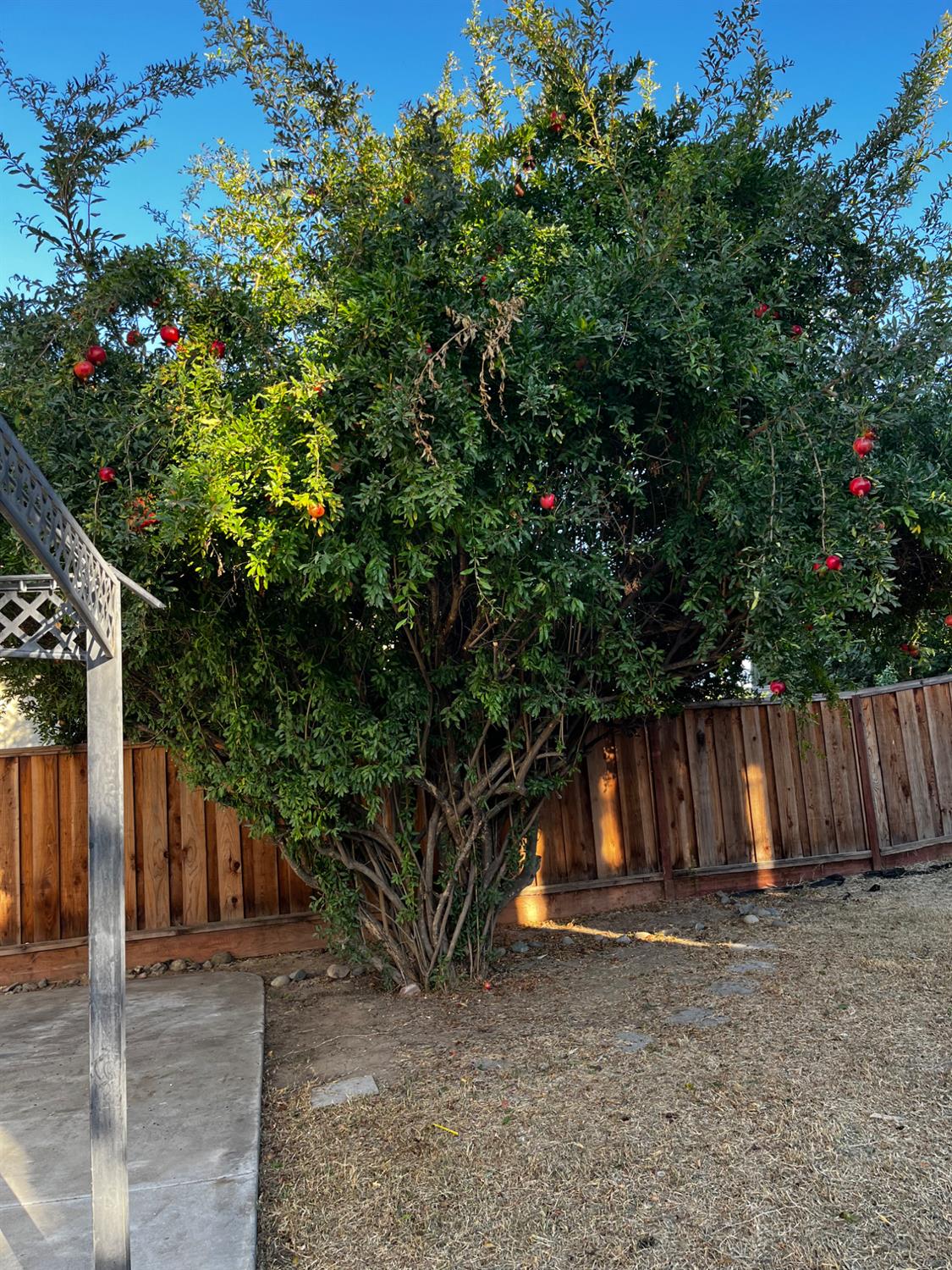 1460 Portsmouth Ln, Gustine, CA 95322