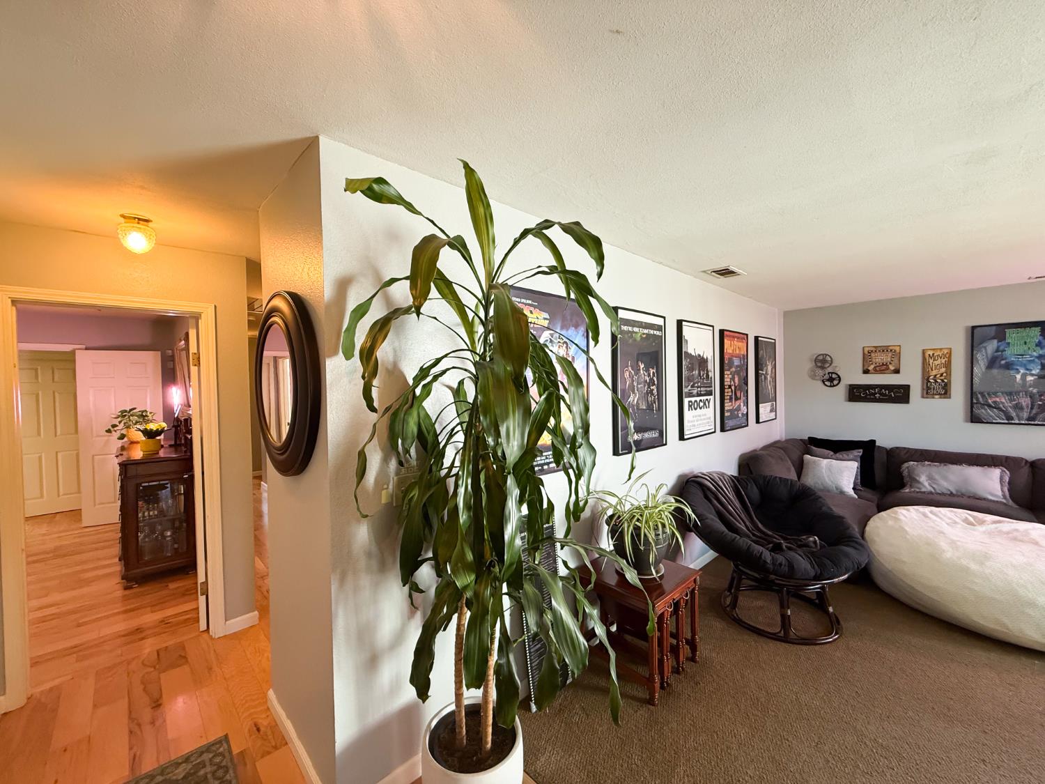 3913 Peacock Ln, Modesto, CA 95356