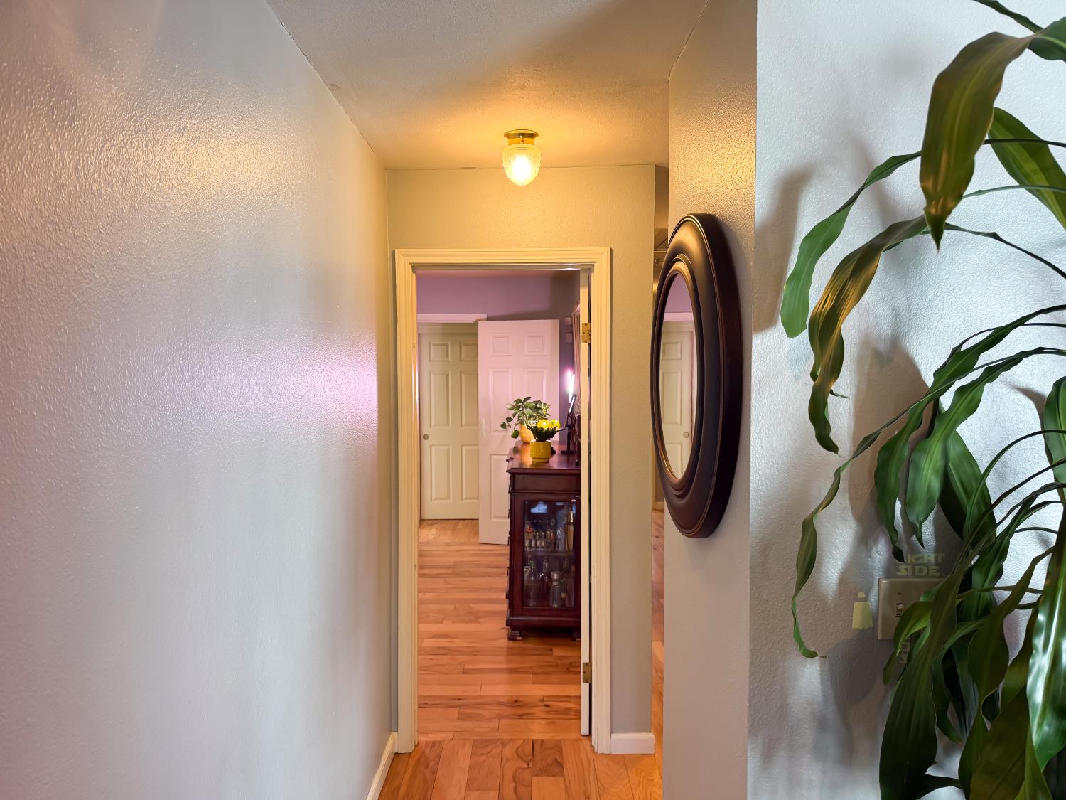 3913 Peacock Ln, Modesto, CA 95356