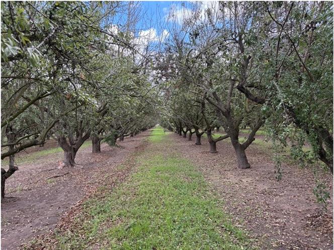 3749 Shiloh Rd, Modesto, CA 95358