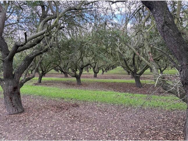 3749 Shiloh Rd, Modesto, CA 95358