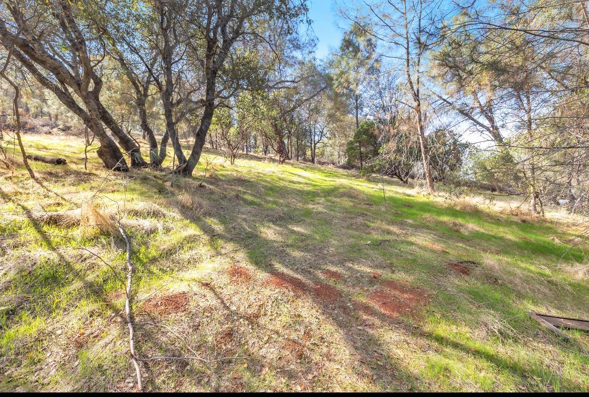 232 Pinon Dr, Copperopolis, CA 95228