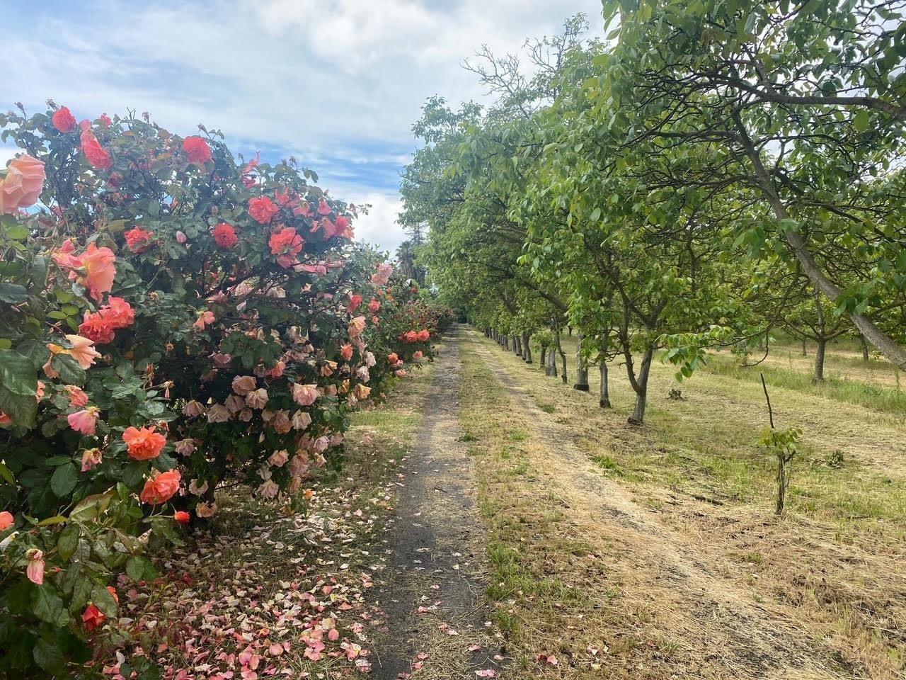 700 Wellsford Rd, Modesto, CA 95357