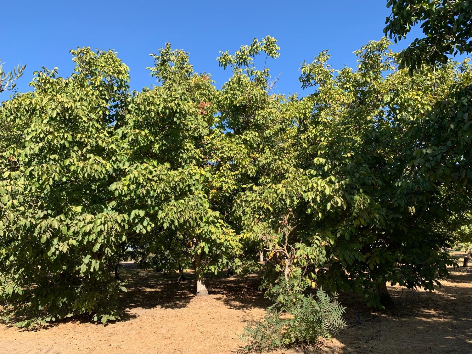 700 Wellsford Rd, Modesto, CA 95357