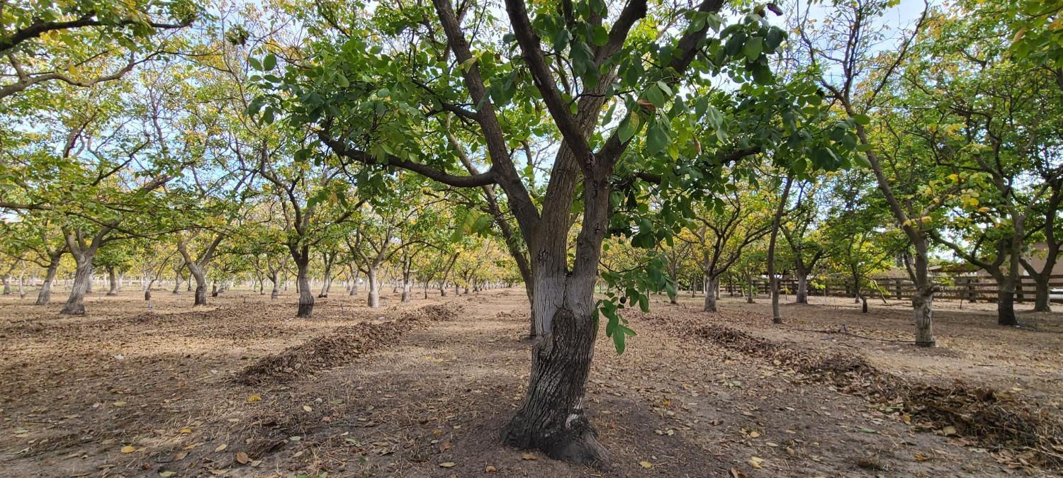 700 Wellsford Rd, Modesto, CA 95357