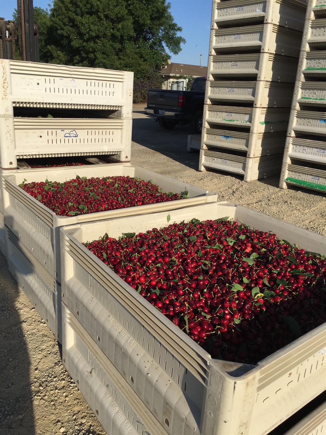 1099 Lemon Ave, Patterson, CA 95363