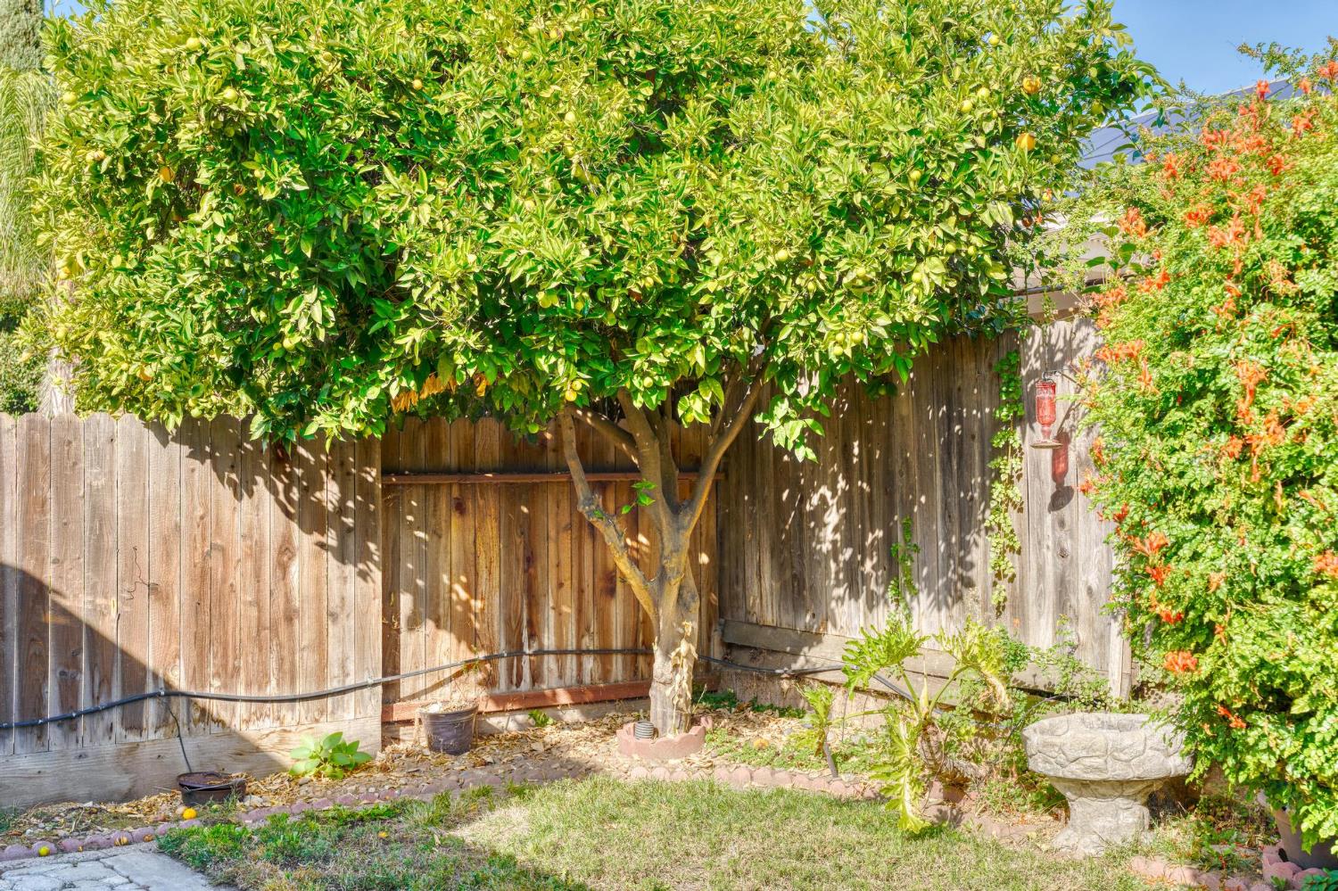 1833 Rail St, Manteca, CA 95337