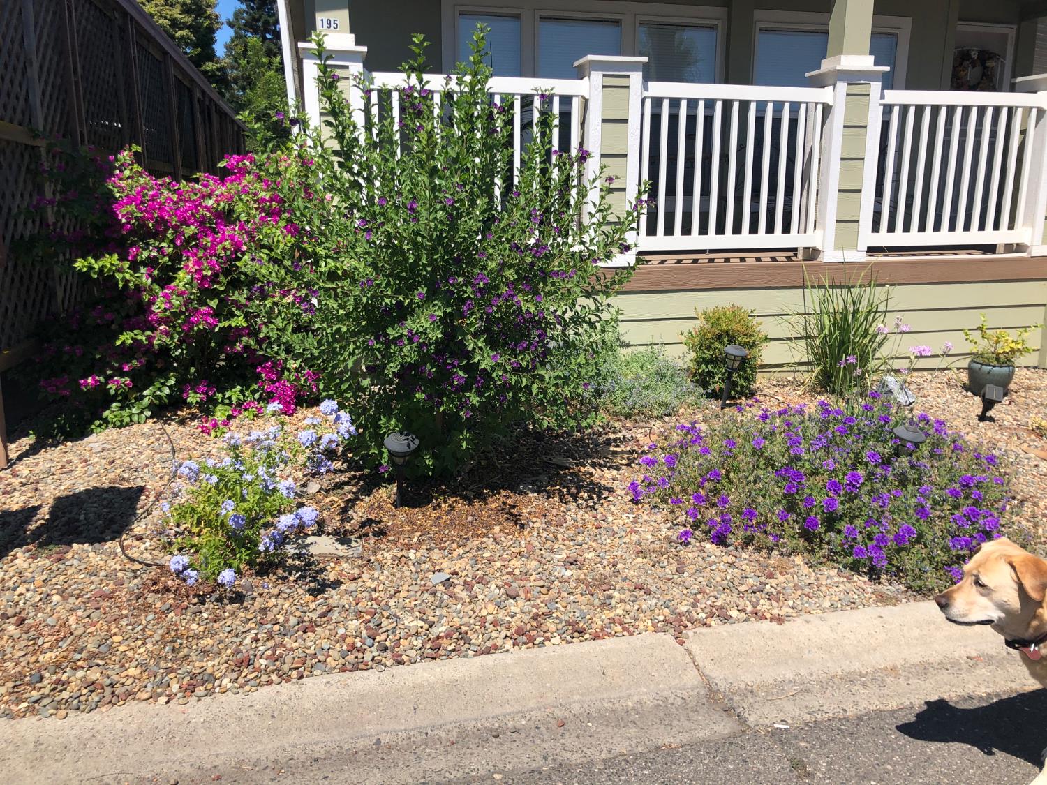 195 Schooner Ln, Modesto, CA 95356