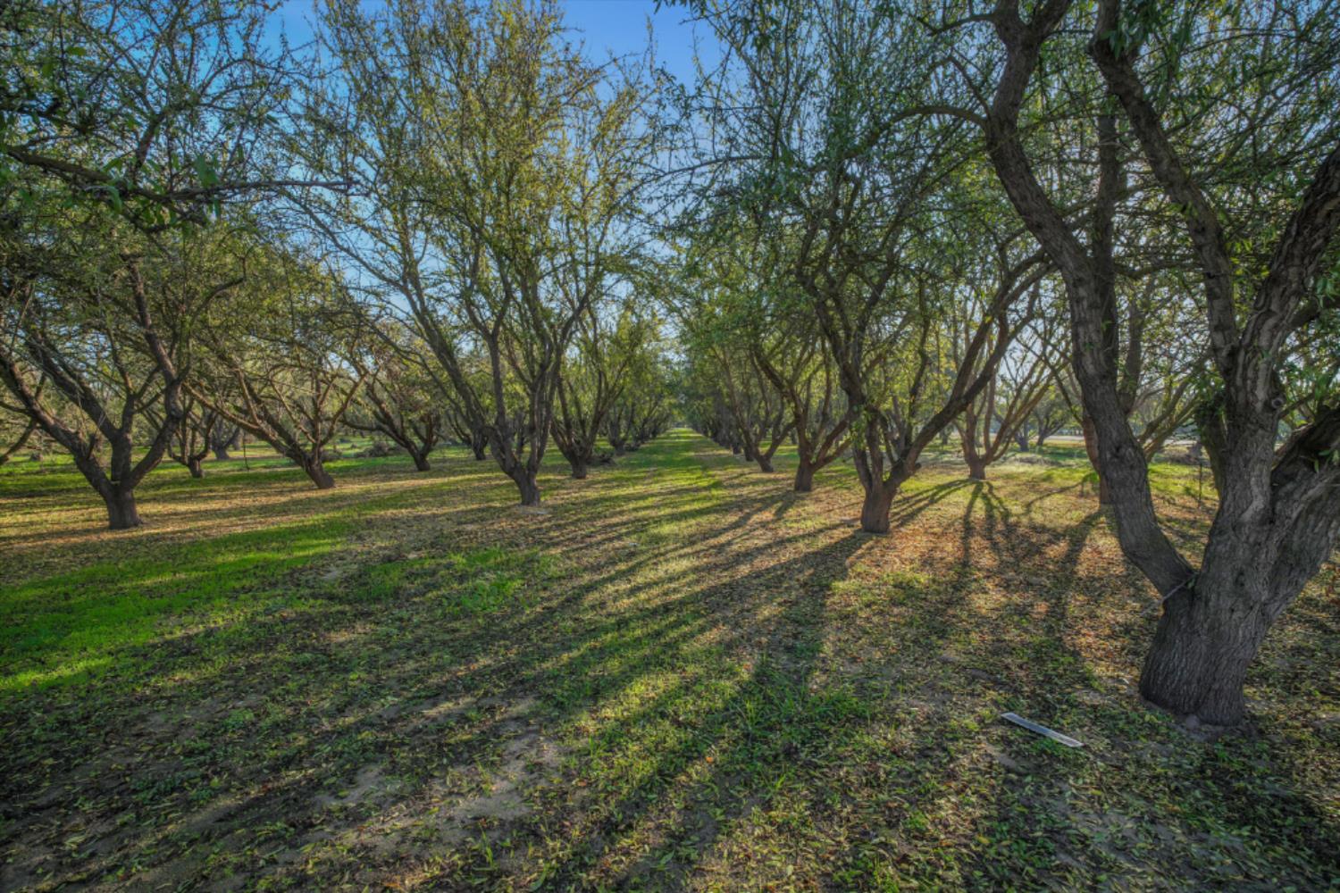 14057 E Clinton South Ave, Ripon, CA 95366