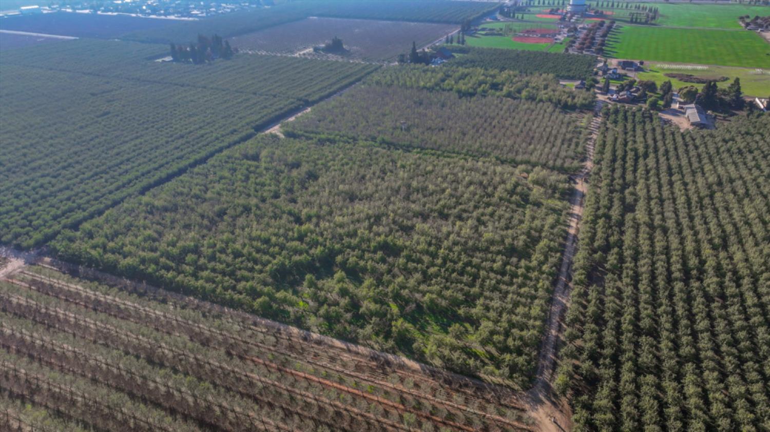 14057 E Clinton South Ave, Ripon, CA 95366