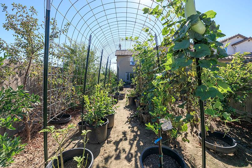 1435 W Woodward Ave, Manteca, CA 95337