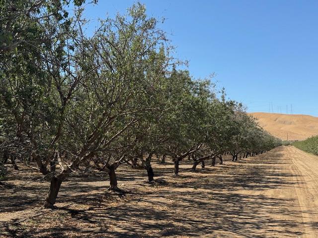 0 HWY 5, Patterson, CA 95363