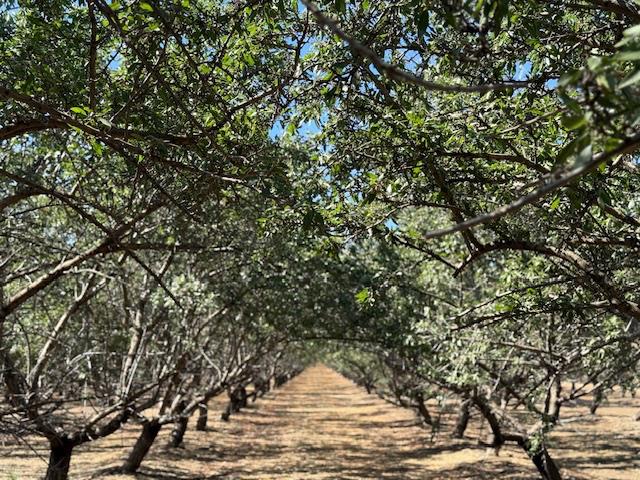 0 HWY 5, Patterson, CA 95363