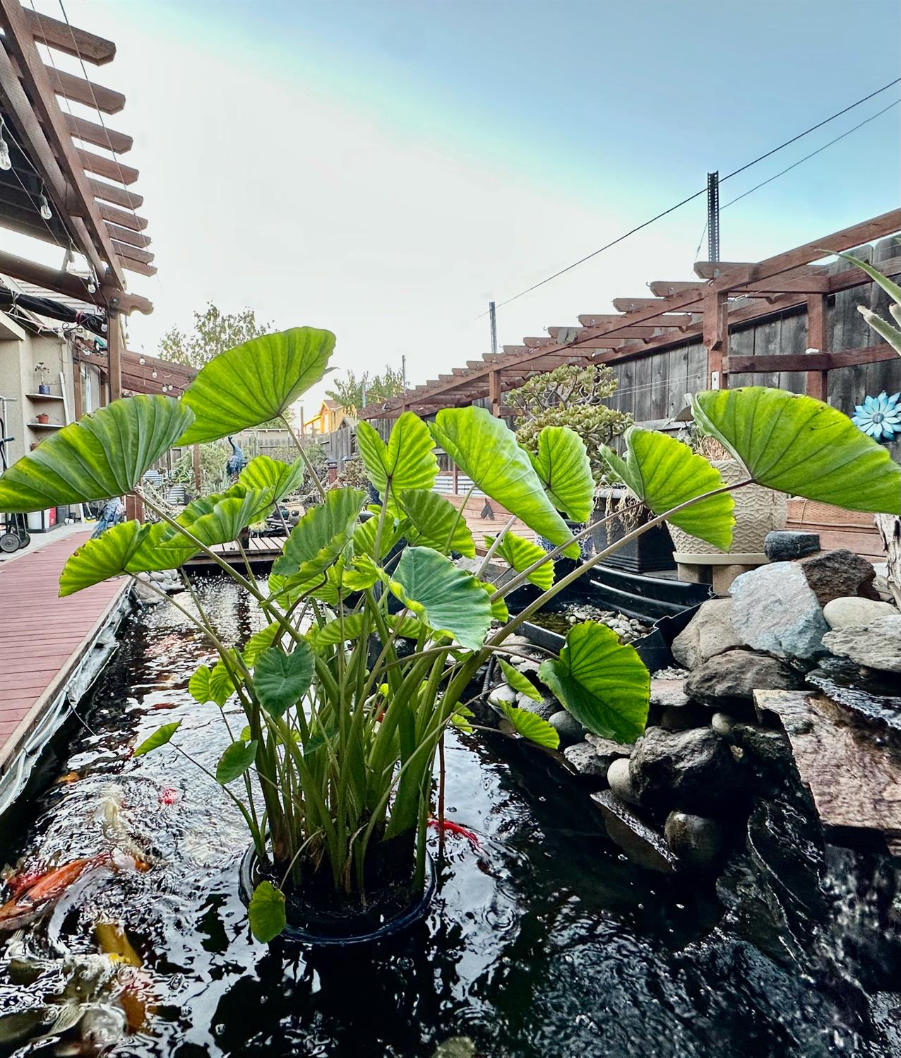 1059 Harvest Mill Dr, Manteca, CA 95336