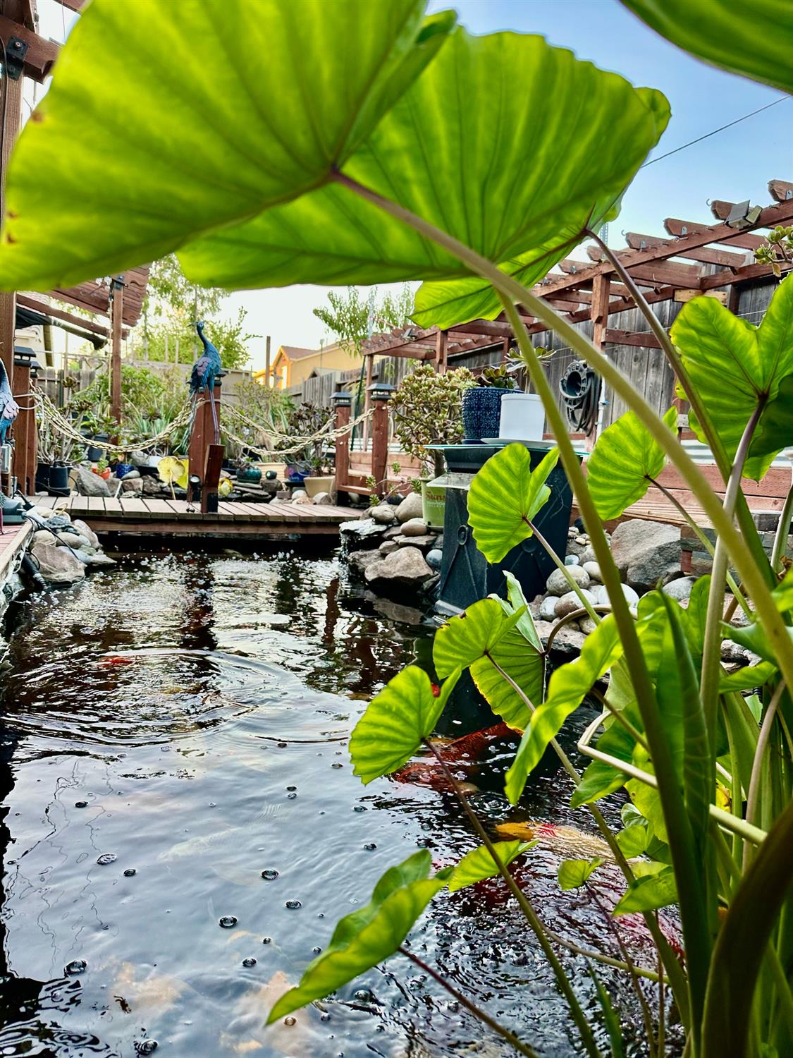 1059 Harvest Mill Dr, Manteca, CA 95336