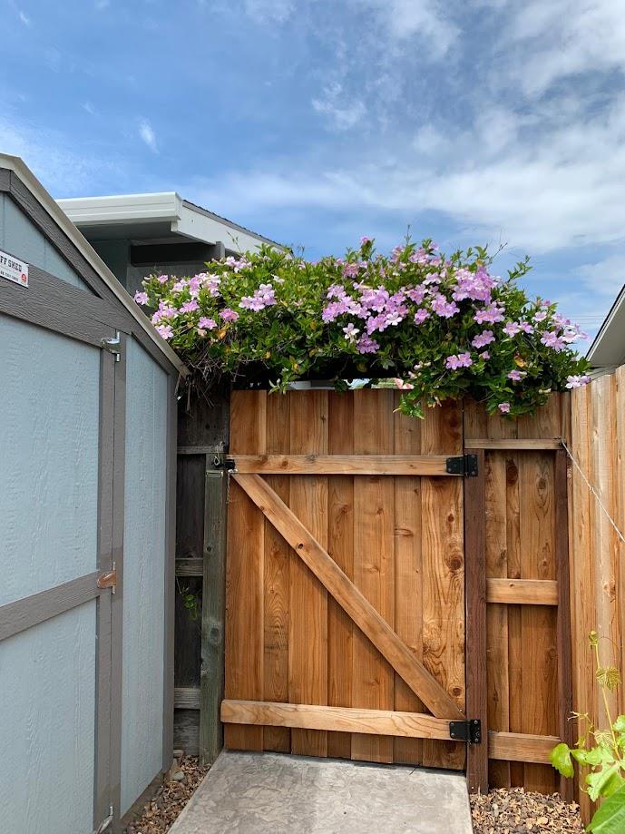 1105 1107 W G St, Oakdale, CA 95361