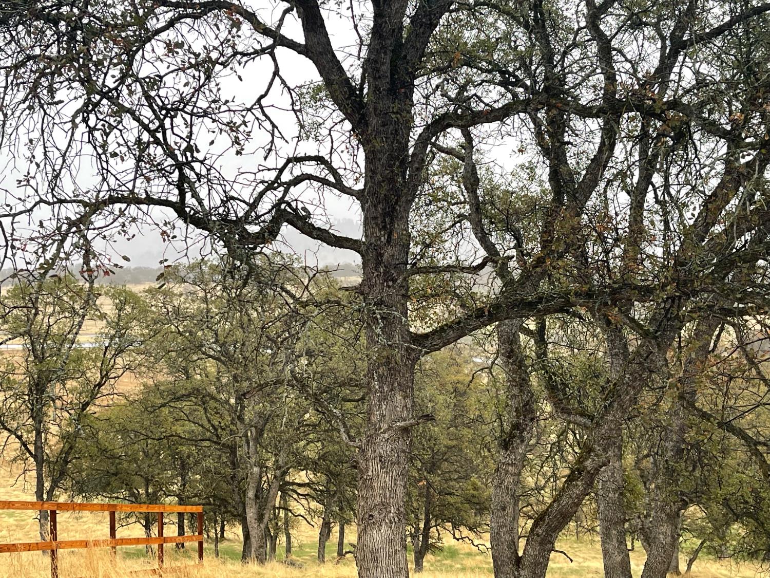 9520 Mercado, La Grange, CA 95329