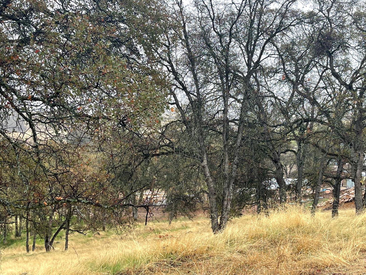 9520 Mercado, La Grange, CA 95329