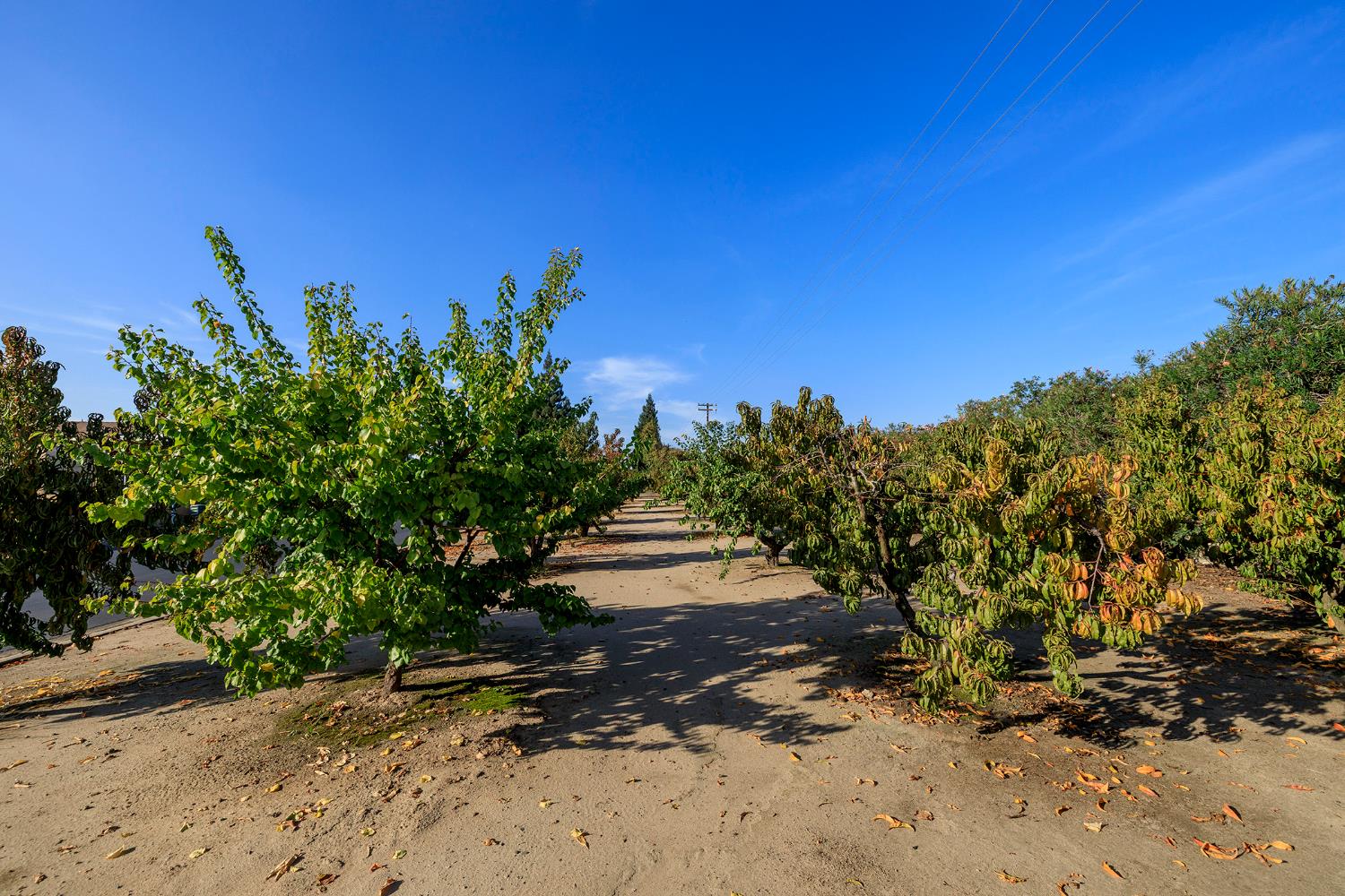 1500 Held #10, Modesto, CA 95355