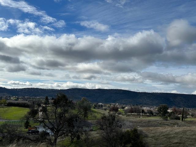 2903 Quail Hill Rd, Copperopolis, CA 95228