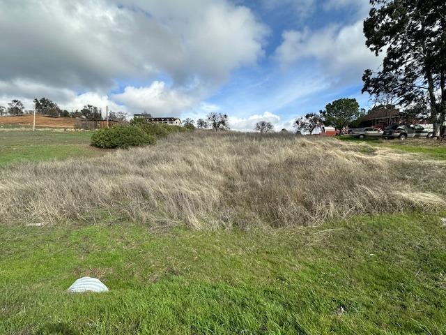 2903 Quail Hill Rd, Copperopolis, CA 95228