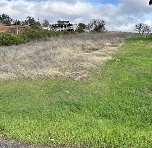 2903 Quail Hill Rd, Copperopolis, CA 95228